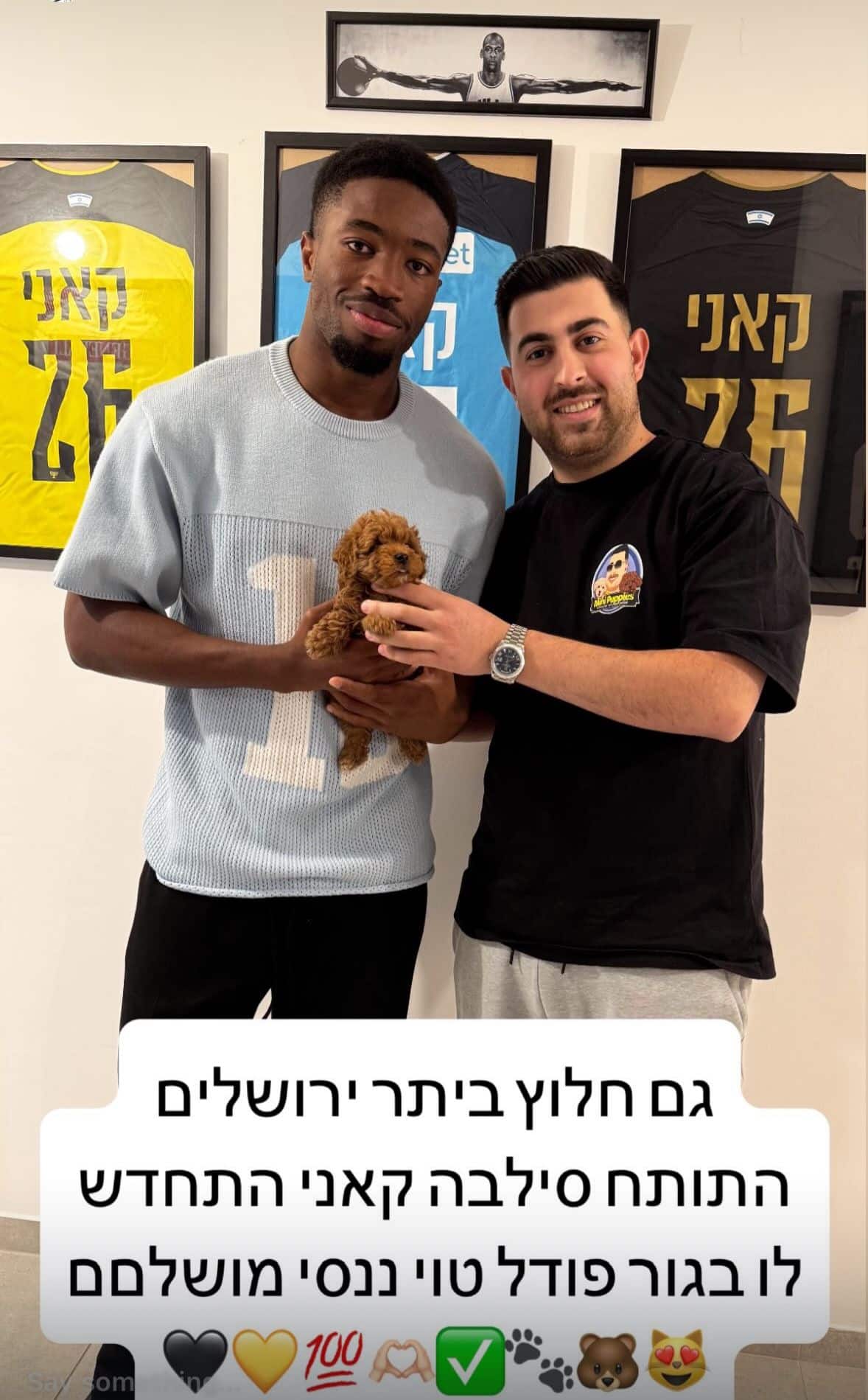 סילבה קאני מתחדש בגור
