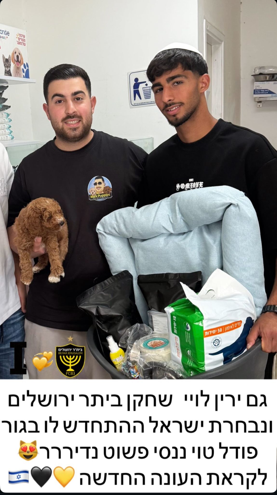 קניית גור כלב קטן מיני פאפיז